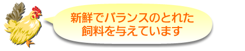 新鮮でバランスのとれた飼料