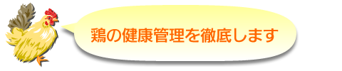 鶏の健康管理の徹底